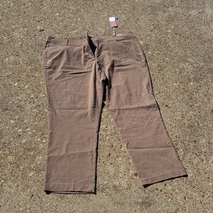 Lane Bryant 24 Pants